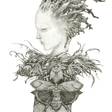 Phantom Limb, 2013, ink on paper, 16" x 12"